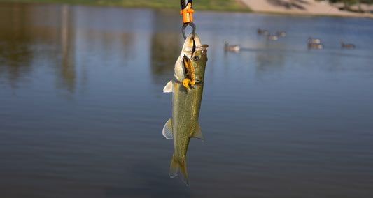Mad Mallard Crankbait Kit