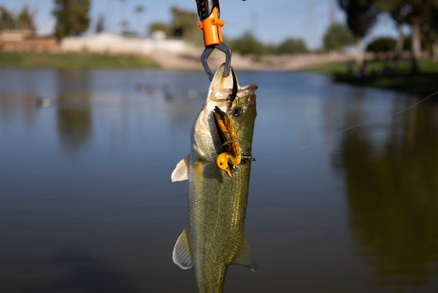 Mad Mallard Crankbait Kit