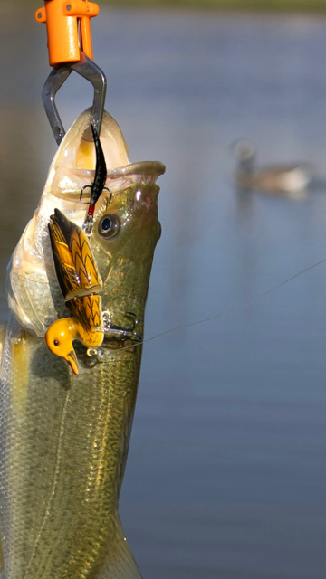 Mad Mallard Crankbait Kit