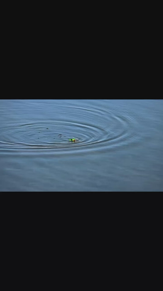 AMP Full Size Topwater Frog